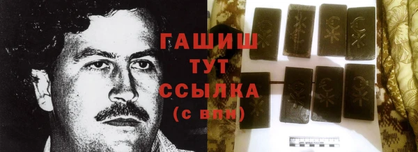 гидра Елабуга