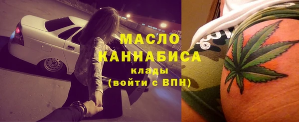 гидра Елабуга