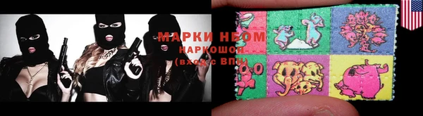 гидра Елабуга