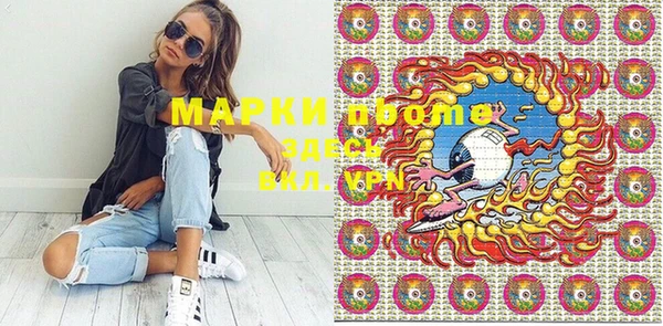 гидра Елабуга