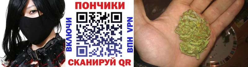 Каннабис план  Купить где  Абаза 